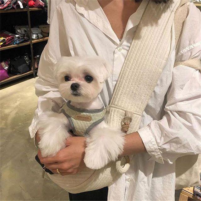 [ free shipping ] pet sling S size baby sling shoulder carry bag small size dog cat 