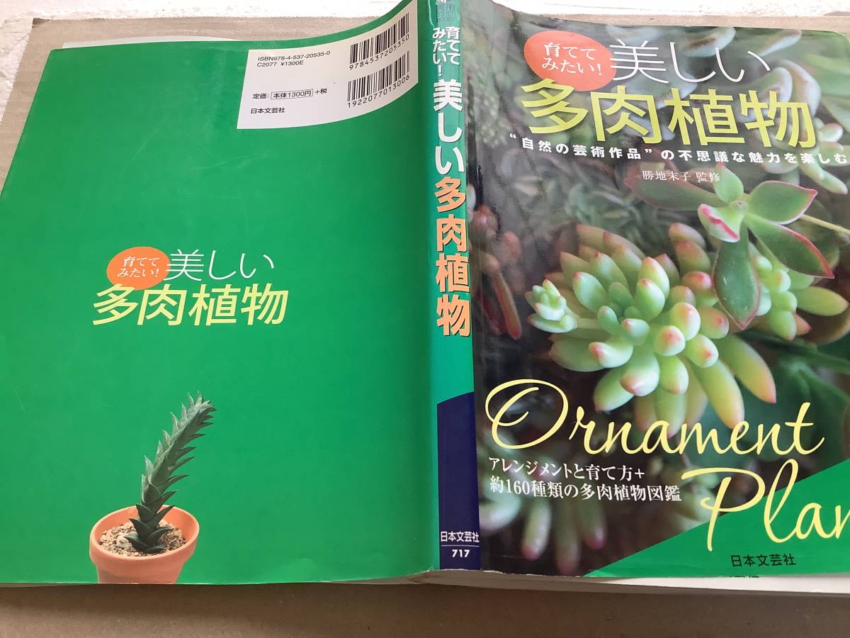 ミエミセ サボテン・多肉、蘭、山野草などの古本　　多肉植物の本　２冊セット　処分特価　送料込み_画像6