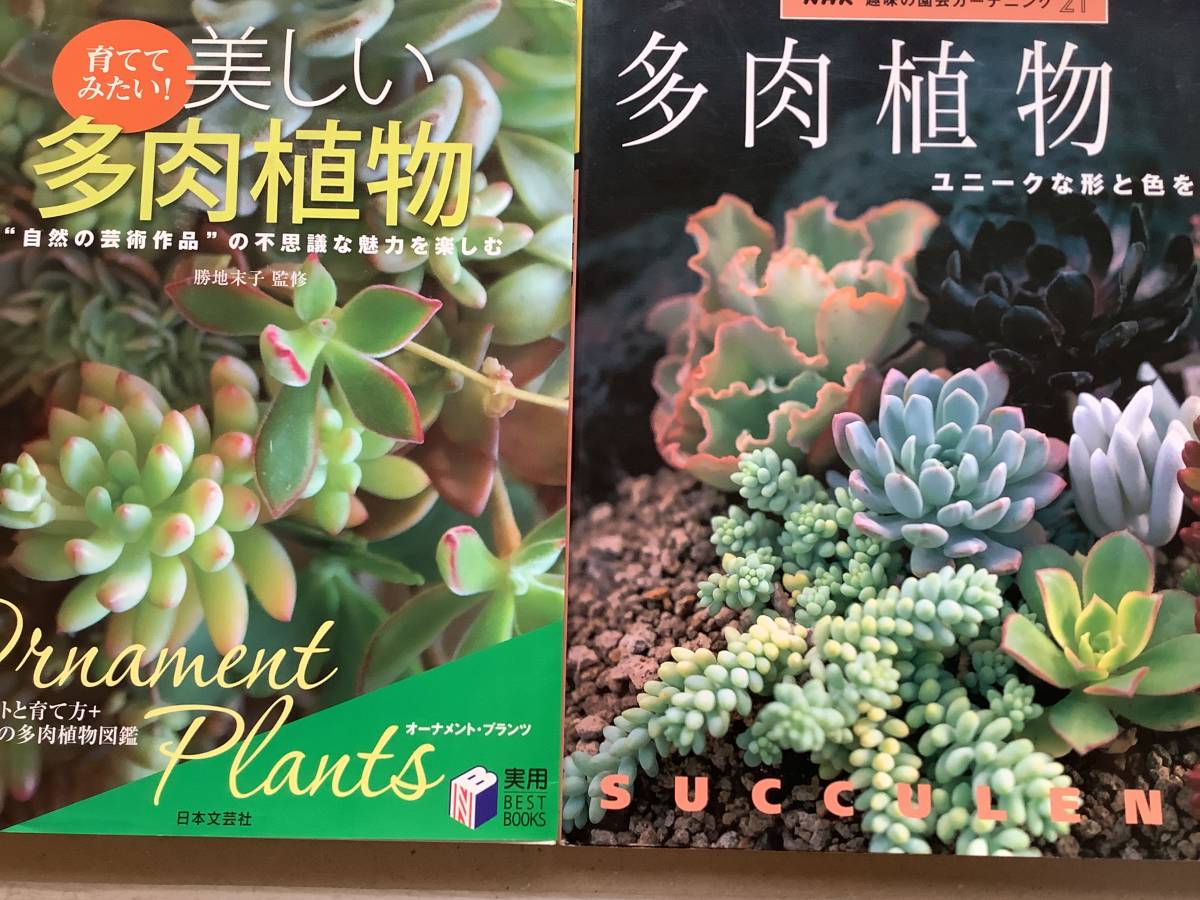 ミエミセ サボテン・多肉、蘭、山野草などの古本　　多肉植物の本　２冊セット　処分特価　送料込み_画像1