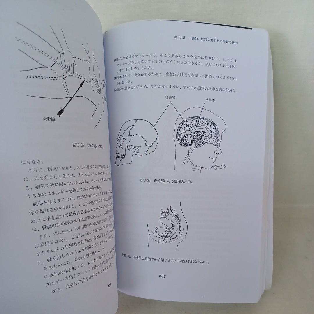 「気内臓療法 (ヒーリング・タオ)(Chi Nei Tsang)」謝 明徳＝マンタク・チャ原 , 帯津 良一 , 鎌崎 拓洋 チネイザン中医手技　気功　_画像9