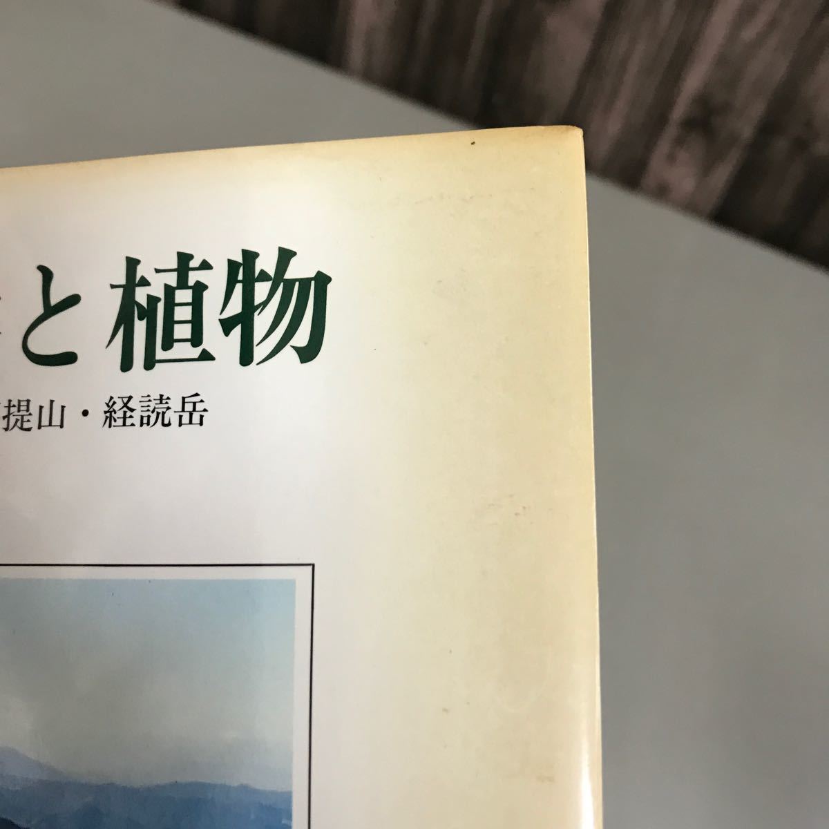 英彦山地の自然と植物 熊谷信孝 1992年 葦書房●岳滅鬼山 英彦山 鷹ノ巣山 犬ヶ岳 求菩提山 経読岳 野草 ヒノキ 野峠 登山コース●7084_画像4