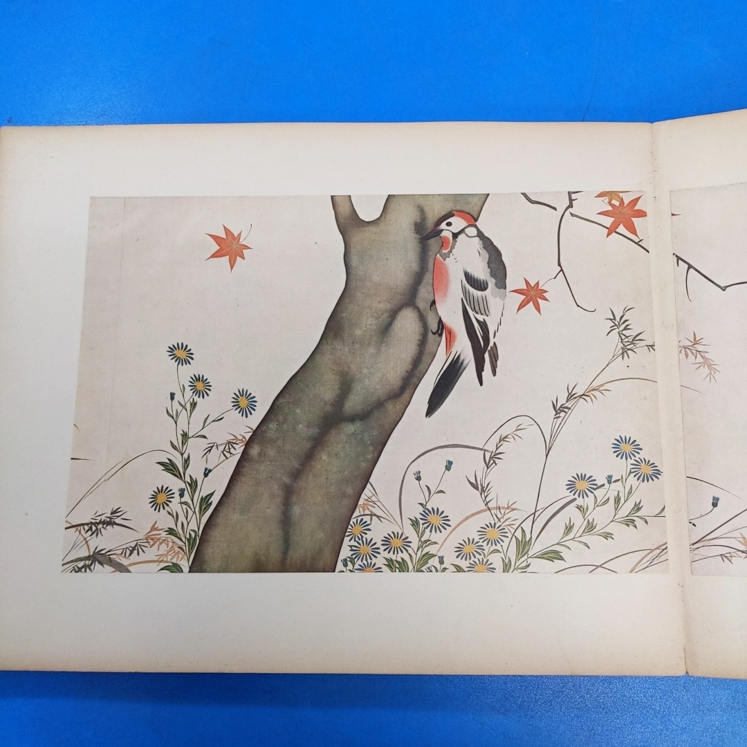 「抱一花鳥 四季絵巻 東京国立博物館 京都書院 昭33」_画像5