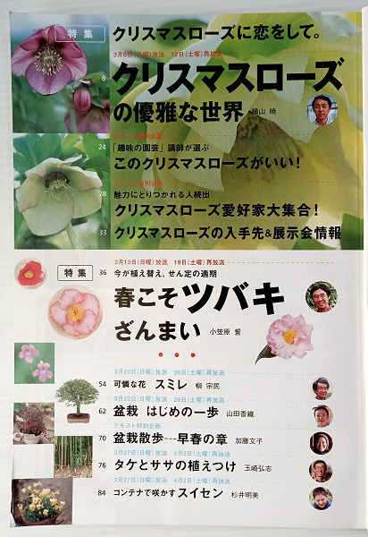 NHK hobby. gardening 2005 year 3 month number .. person thorough guide Christmas rose spring .. camellia .... camellia 