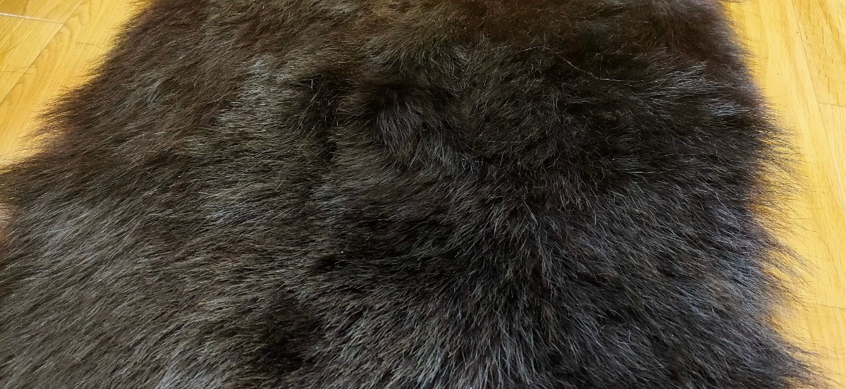 ●マタギ●ツキノワグマの尻皮（1） クマ 尻当て 尻あて (熊 腰あて 腰当て 腰皮 引敷 山伏 ヒップガード 腰巻き 毛皮 MATAGI 月の輪熊の画像4