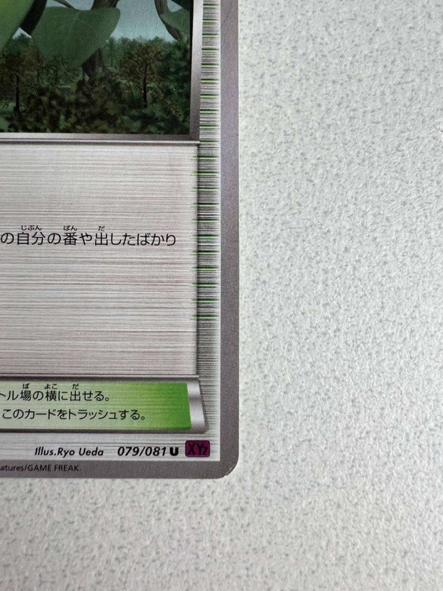 ポケモンカードゲーム/U/XY　拡張パック「バンデットリング」 079/081[U]：巨大植物の森_画像5