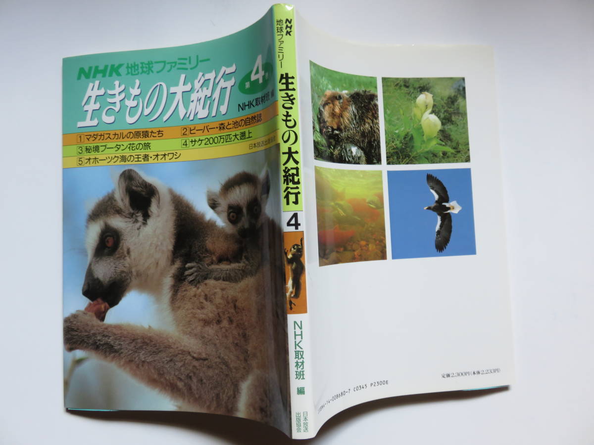 生きもの大紀行第4巻 NHK地球ファミリー NHK取材班編　_画像1