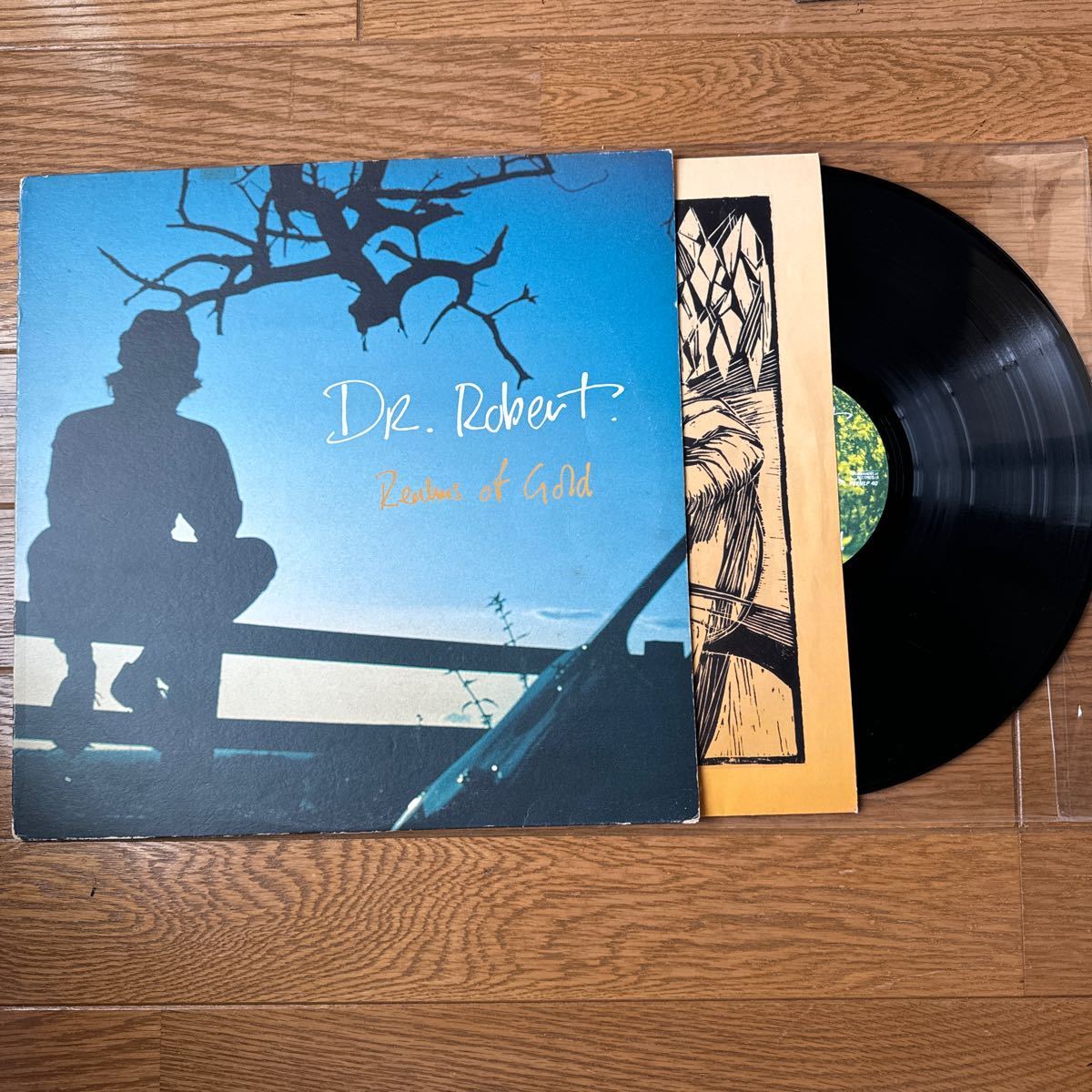 【中古レコード】DRロバート DR ROBERT / REALMS OF GOLD (PERMLP40) 輸入盤_画像1