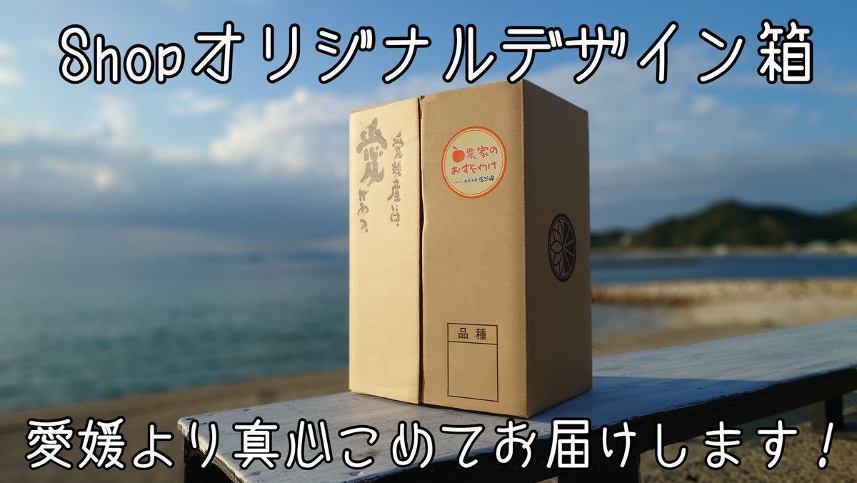 【熟成伊予柑】10kg 家庭用　大好評　農家直送サイズ混合　訳あり　みかん　柑橘　愛媛県産　果物　いよかん送料無料フルーツ　デザート_画像3