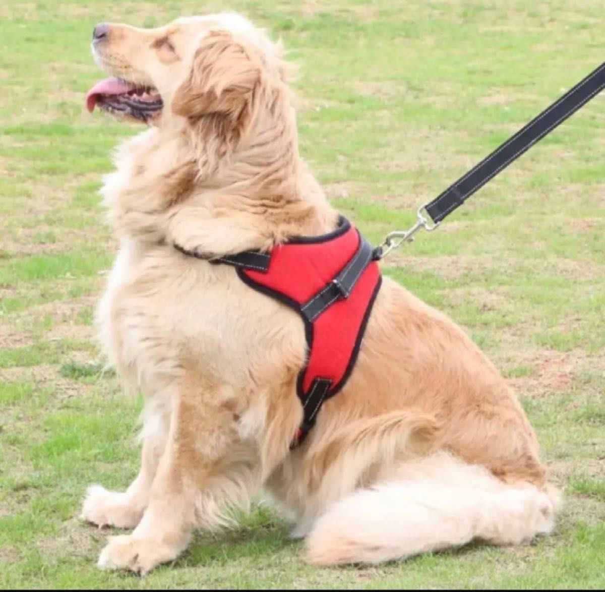 【新品】 犬用ハーネス 中型犬 胴輪 ソフト 犬用 防止 中型犬 おしゃれ