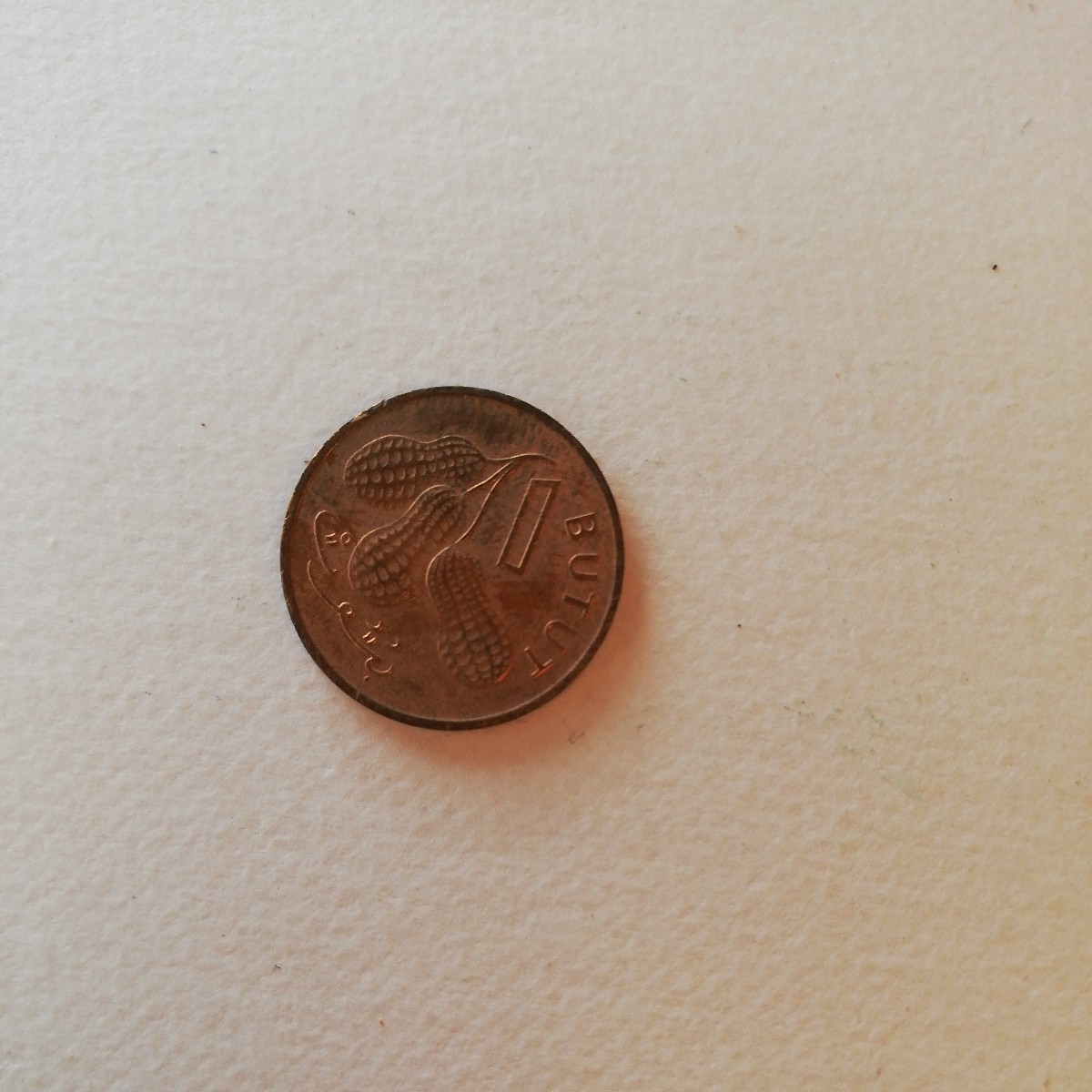 世界の最小単位コイン その2 ドイツ,オランダ,フランス,オーストラリア,サモア,ガンビア, アルゼンチンの画像7
