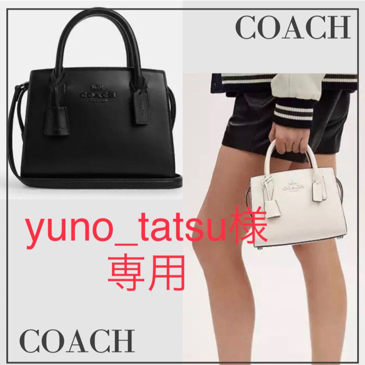 新品 COACH アンドレア キャリーオール ショルダーバッグ 新品 COACH アンドレア キャリーオール ショルダーバッグ