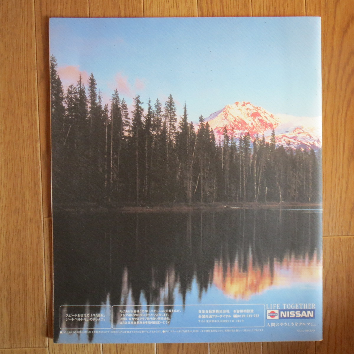  Terrano 1995 year 9 month & special equipment car & price table catalog #cn26