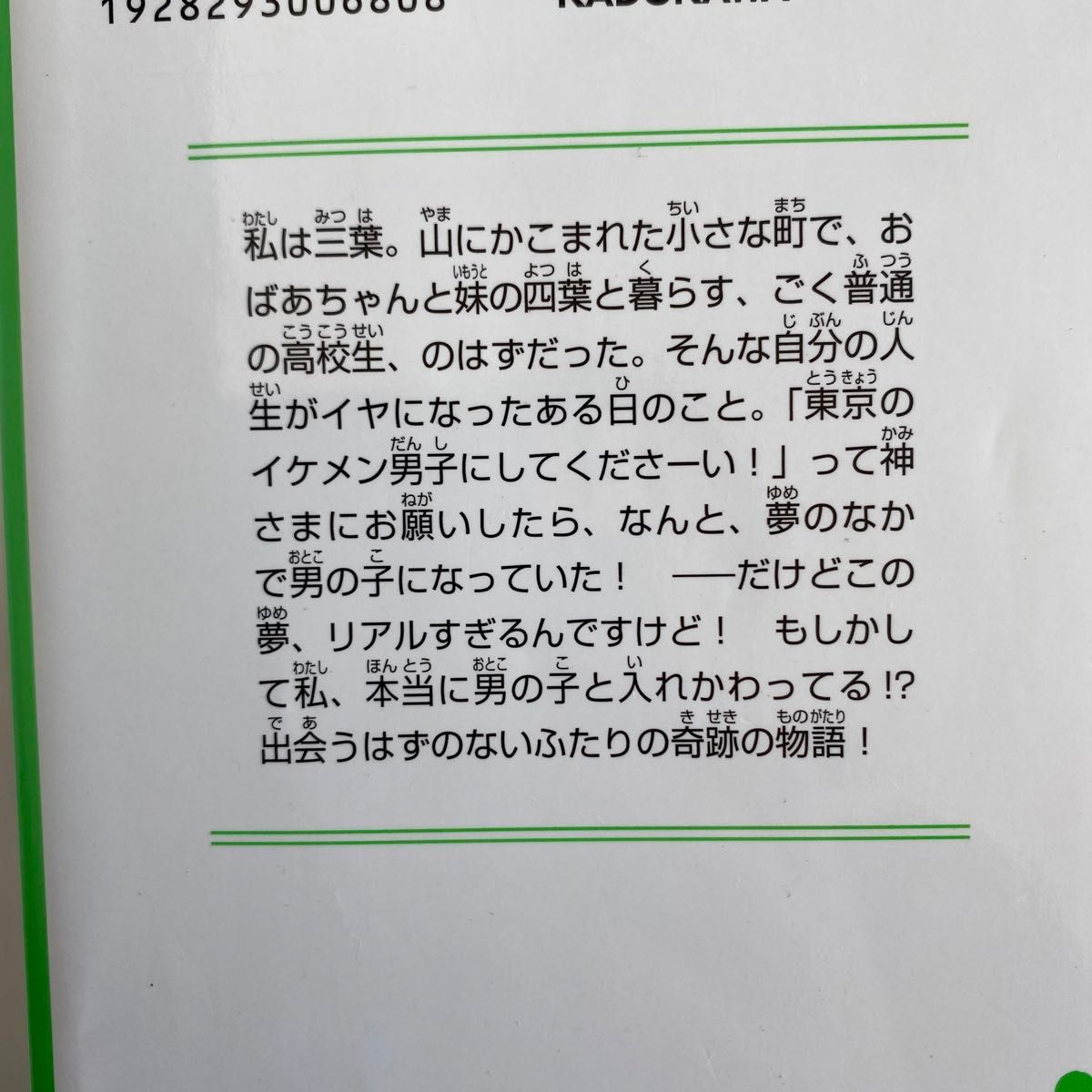 名犬ラッシー　新訳 （角川つばさ文庫　Ｅな１－１） エリック・ナイト／作　中村凪子／訳　馬場彰子／訳　裕龍ながれ／絵