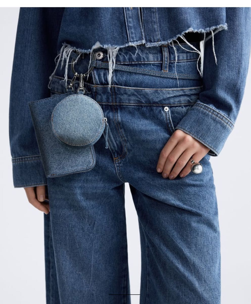 ZARA MAISON Special コラボ クロスボディバッグ ウォレット ZARA MAISON Special コラボ クロスボディバッグ ウォレット