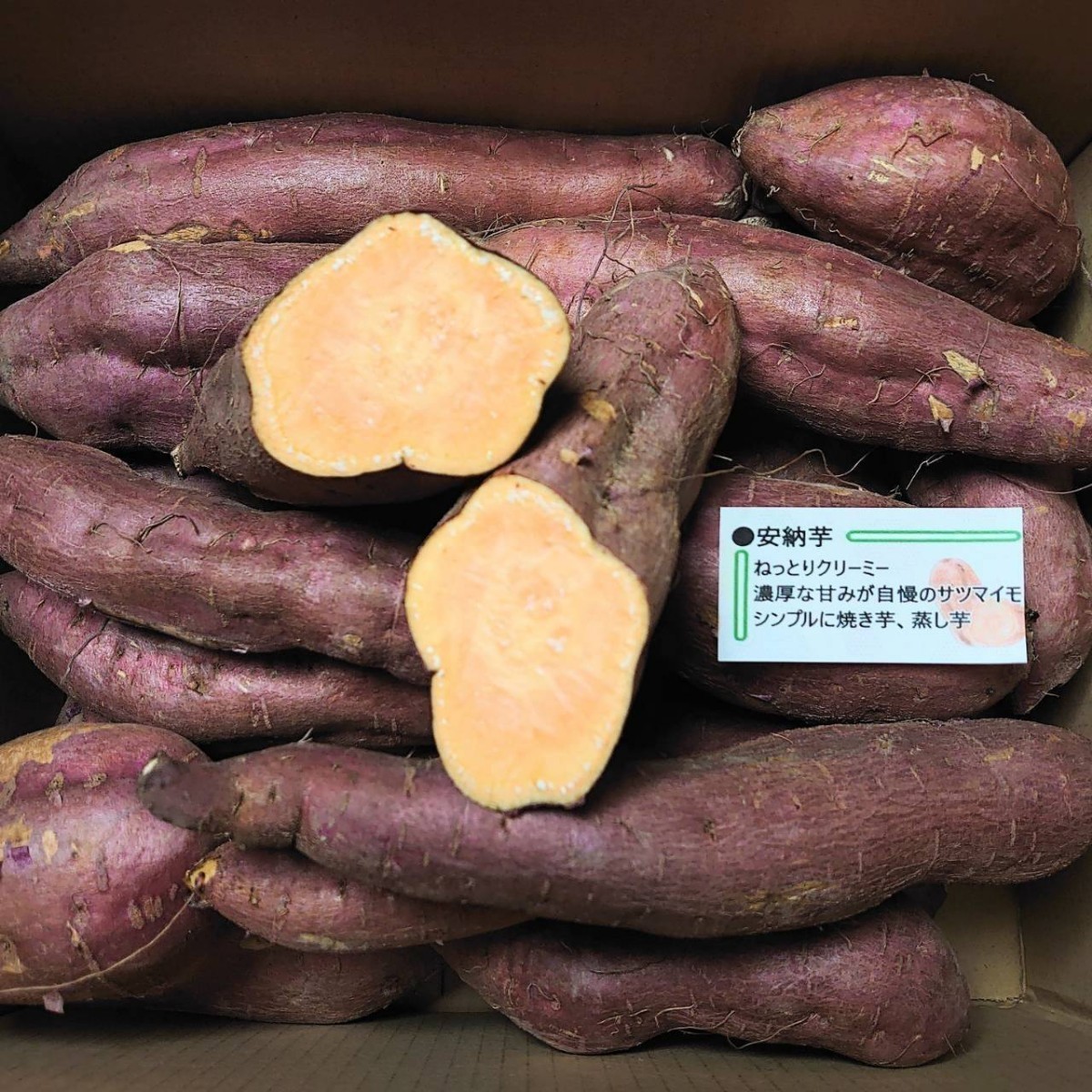 愛媛県産サツマイモ【安納芋】熟成 5kg_画像2