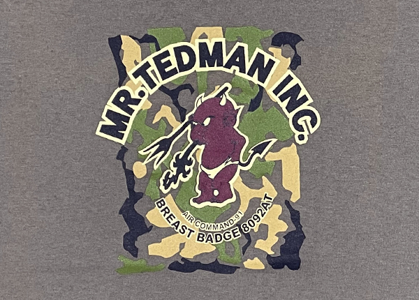 TEDMAN　掘り出し商品！　半袖Tシャツ　L.BROWN　Mサイズ　ちょっと難あり_画像2