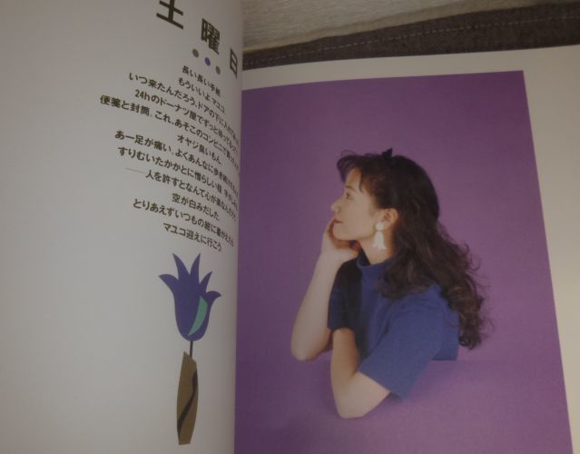 平松愛理 TOUR'94～'95 7DAYS GIRL ライブツアーパンフレット(チケット半券つき_画像2