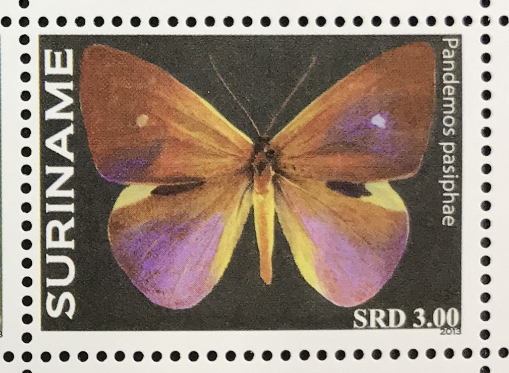  abrasion nam2013 year issue butterfly stamp unused NH