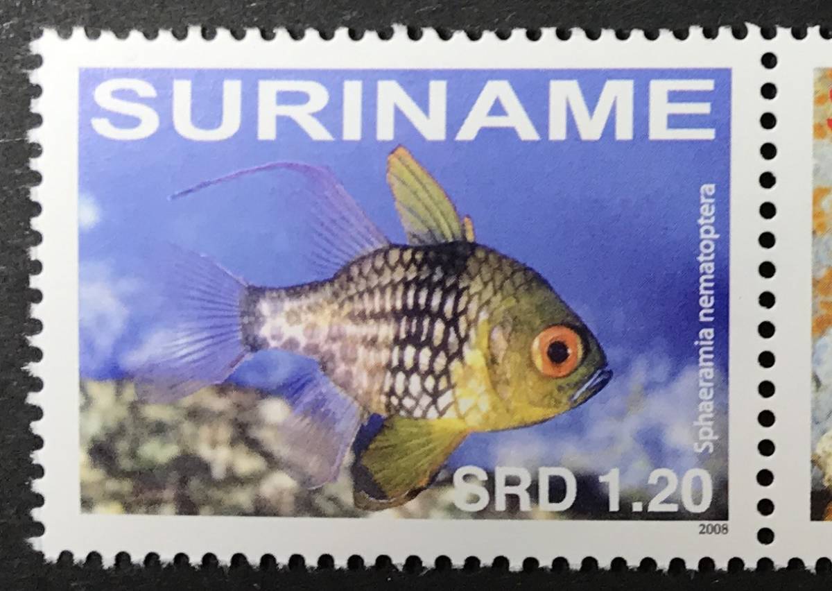  abrasion nam2008 year issue fish stamp unused NH