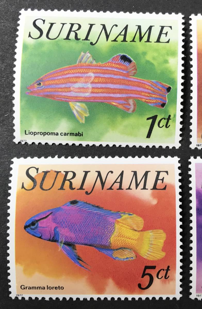  abrasion nam1977 year issue fish stamp unused NH