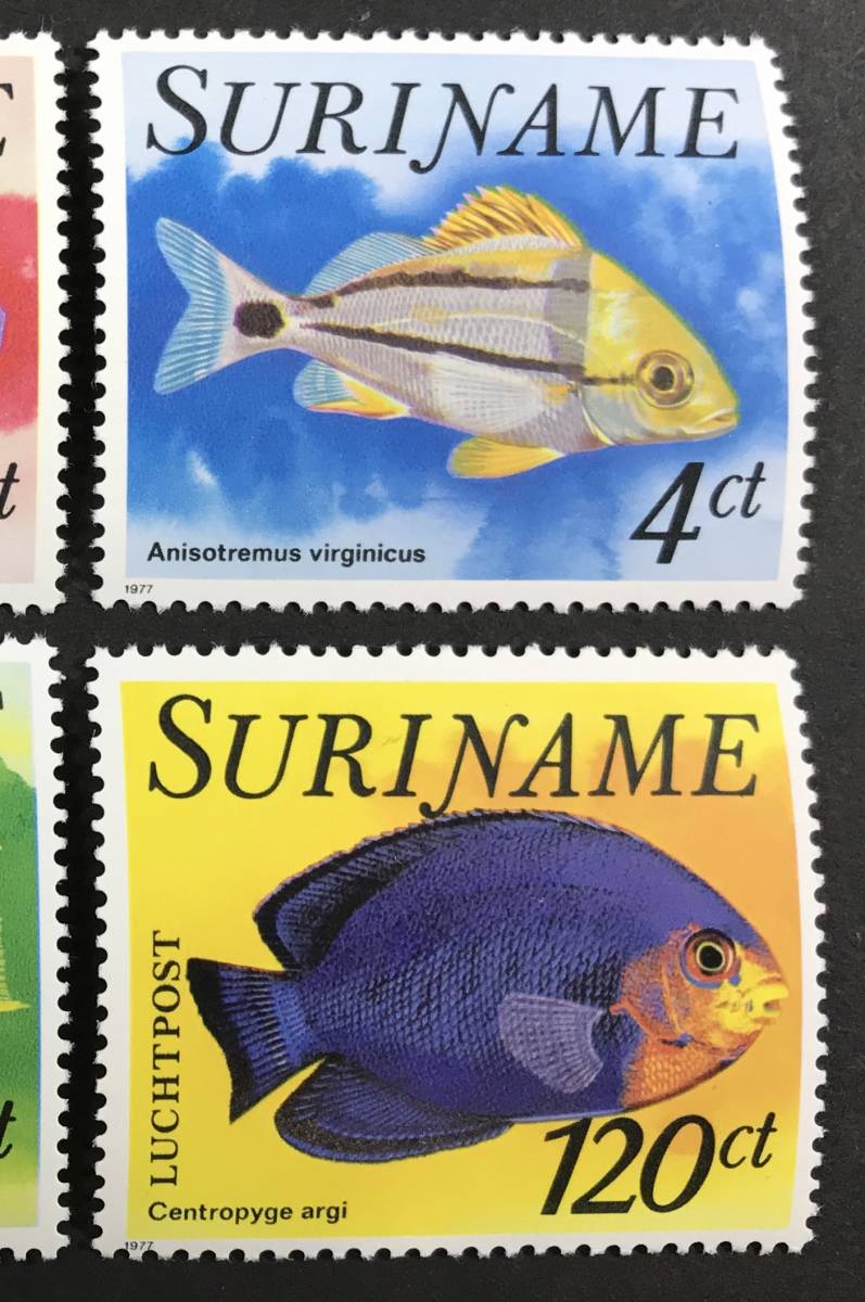  abrasion nam1977 year issue fish stamp unused NH