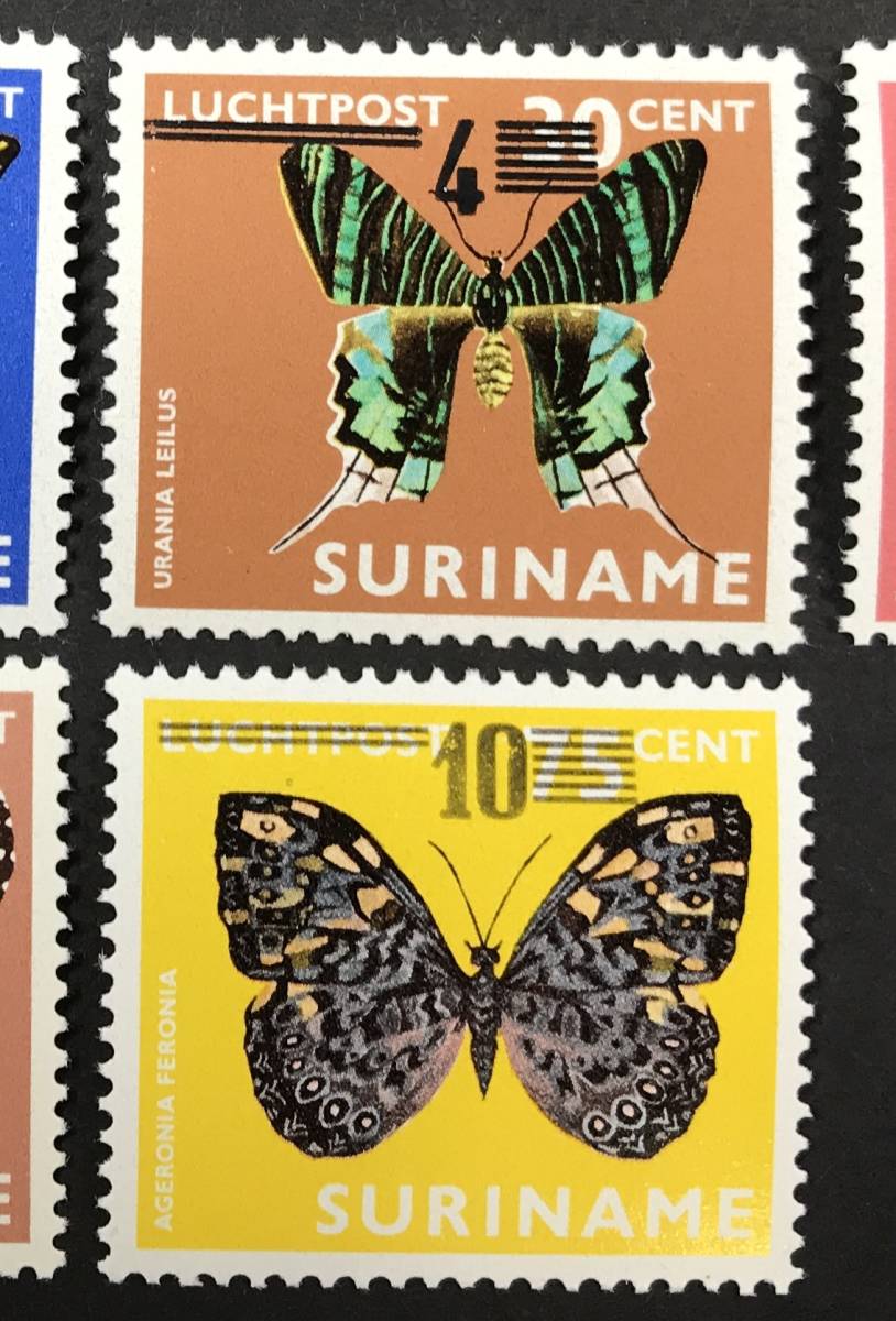  abrasion nam1977 year issue butterfly ... stamp unused NH