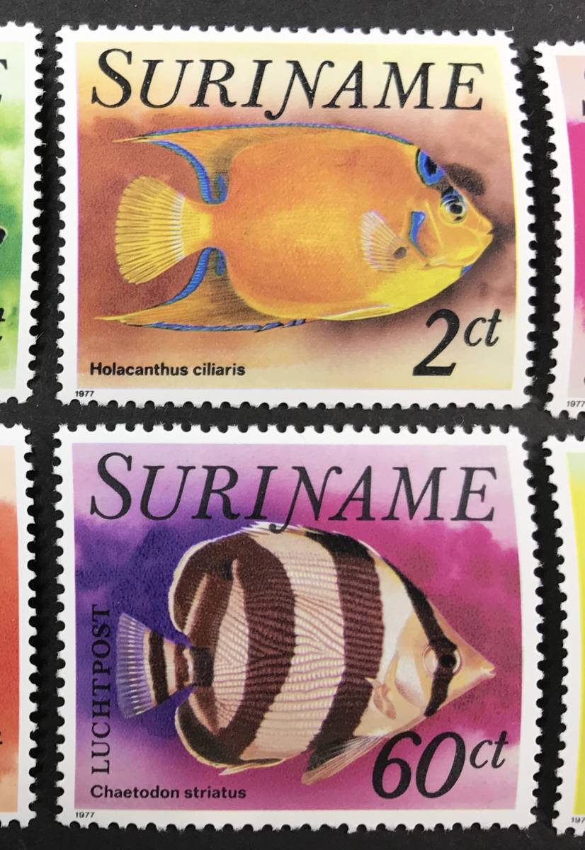  abrasion nam1977 year issue fish stamp unused NH