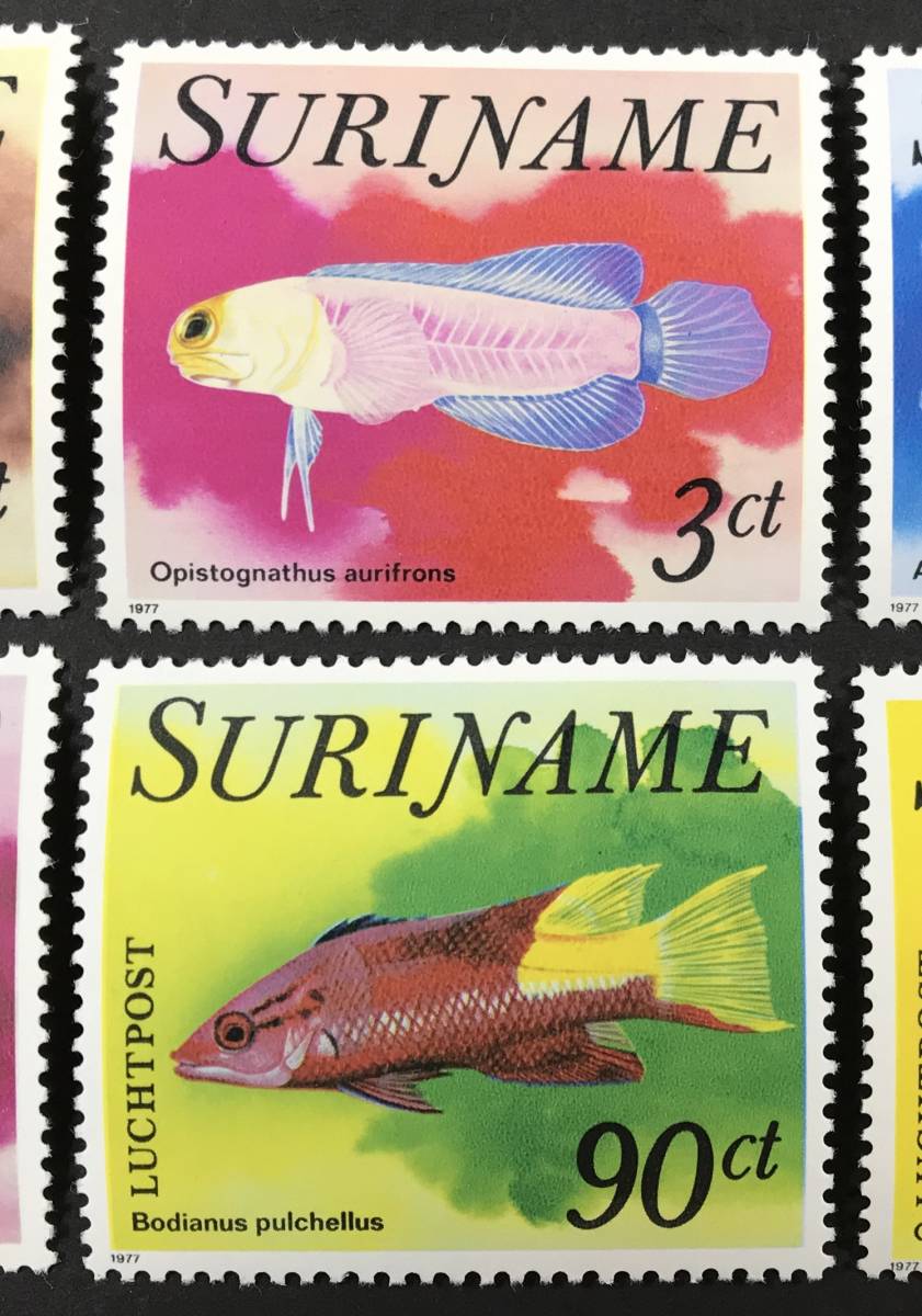  abrasion nam1977 year issue fish stamp unused NH