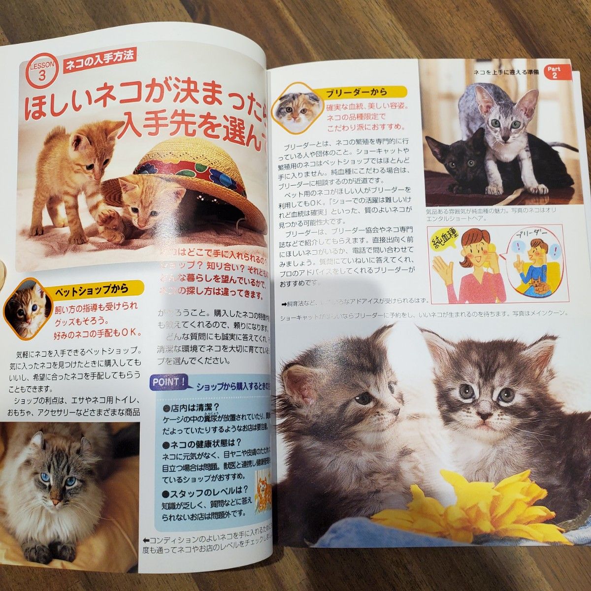 かわいい猫との暮らし方・しつけ方　愛らしいネコの写真が満載！ 小島正記／監修　山崎哲／写真