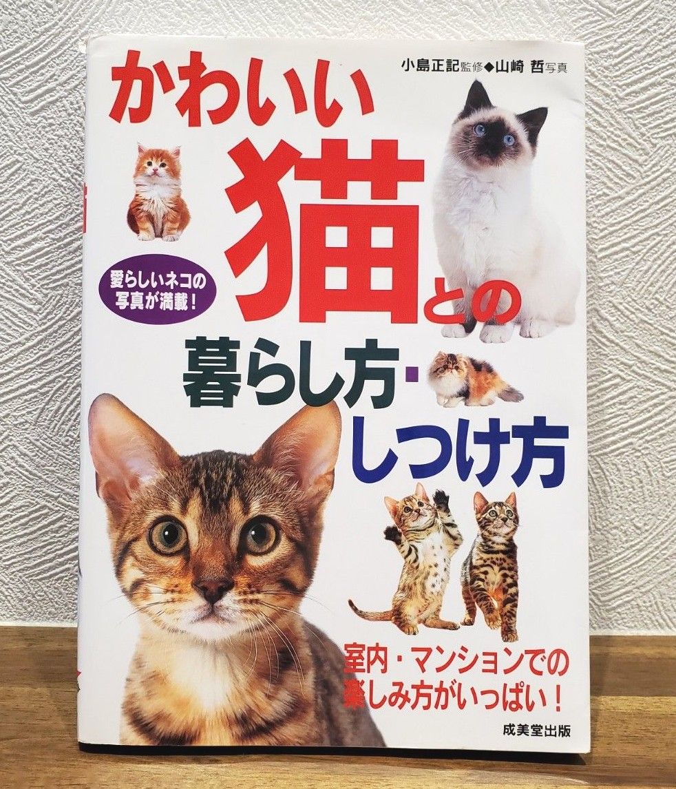 かわいい猫との暮らし方・しつけ方　愛らしいネコの写真が満載！ 小島正記／監修　山崎哲／写真