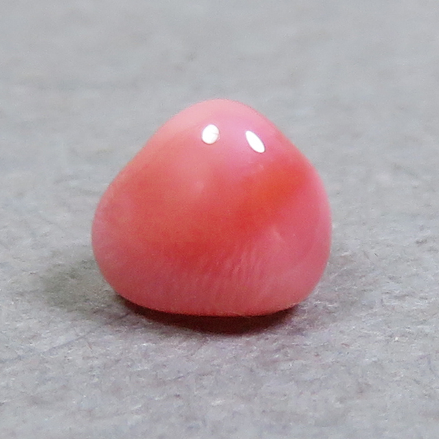 ー品販売 コンクパール(conch ルース(0.40ct) pearl) 真珠