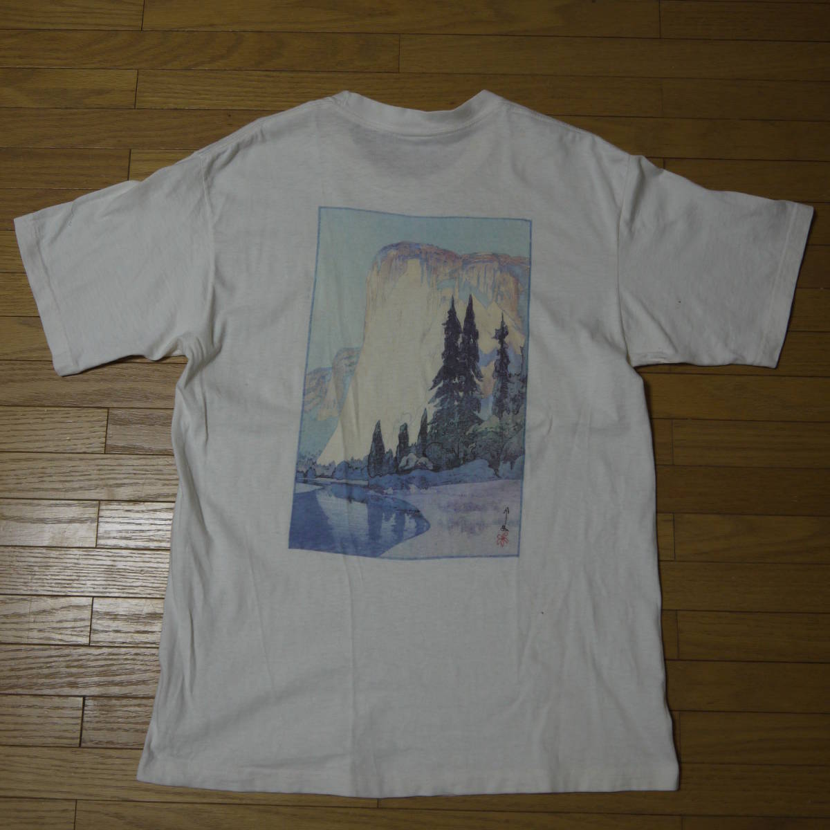 90s美品Patagonia Yosemite TEE 最初期 | odmalihnogu.org
