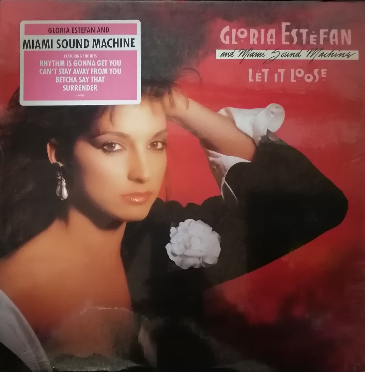 US シュリンク GLORIA ESTEFAN/LET IT LOOSE/EPIC 良盤_画像1