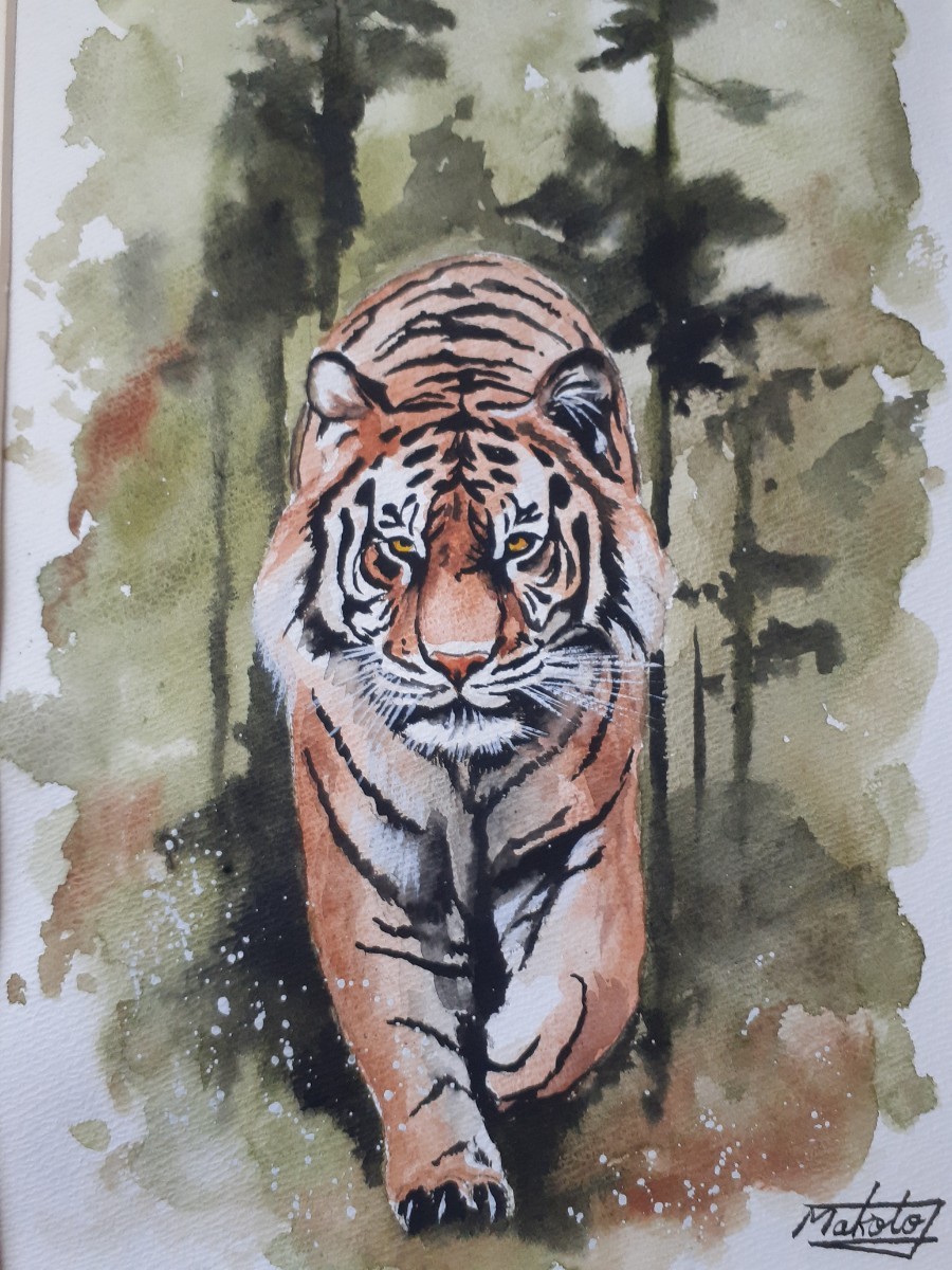  watercolor painting forest. Tiger 