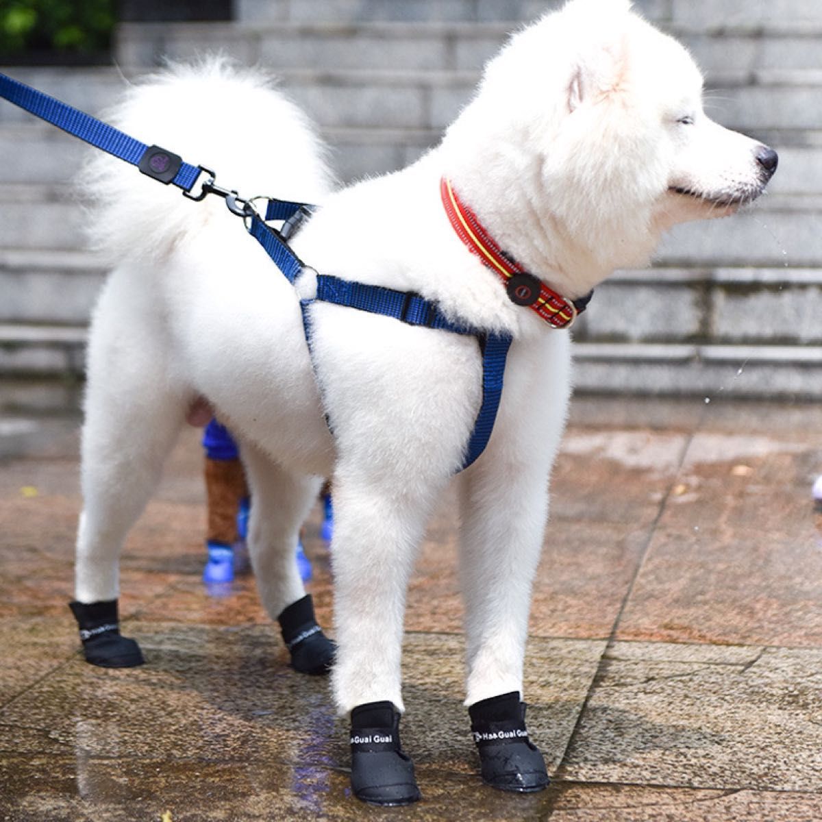 犬用　レインシューズ　長靴　足の保護　肉球保護　散歩 猫用 ペット用