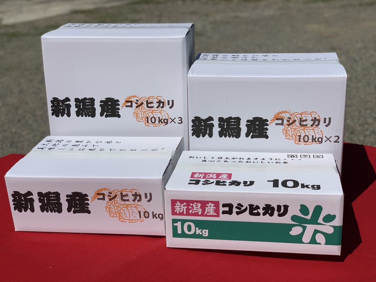 新米　令和5年産新潟コシヒカリ　白米5kg×2個★農家直送★色彩選別済26_画像3