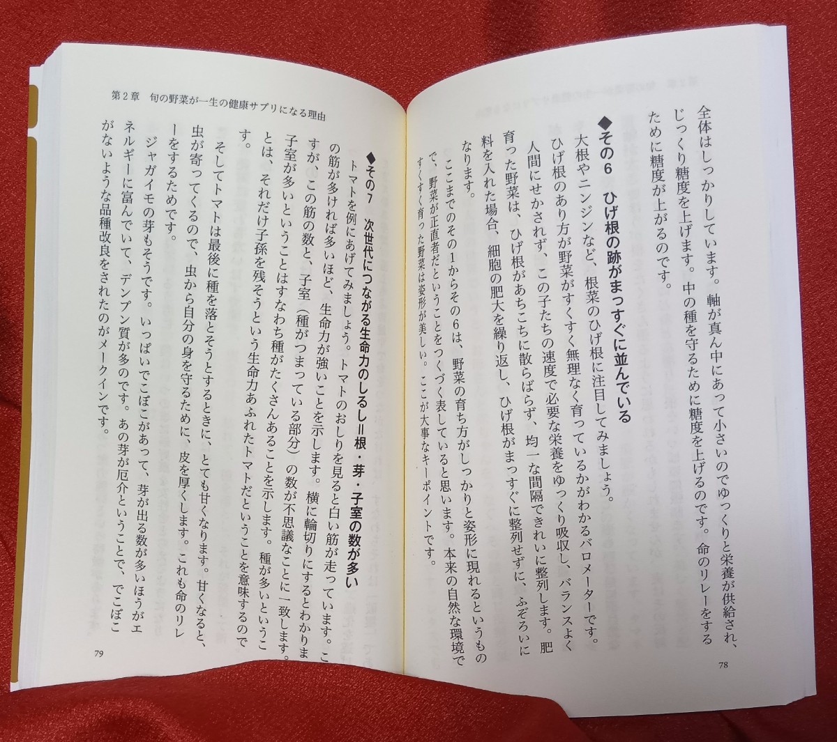 ☆古本間違いだらけの野菜選び （角川ｏｎｅテーマ２１　Ｂ－１６８） 内田悟／〔著〕○2013年初版◎_画像9