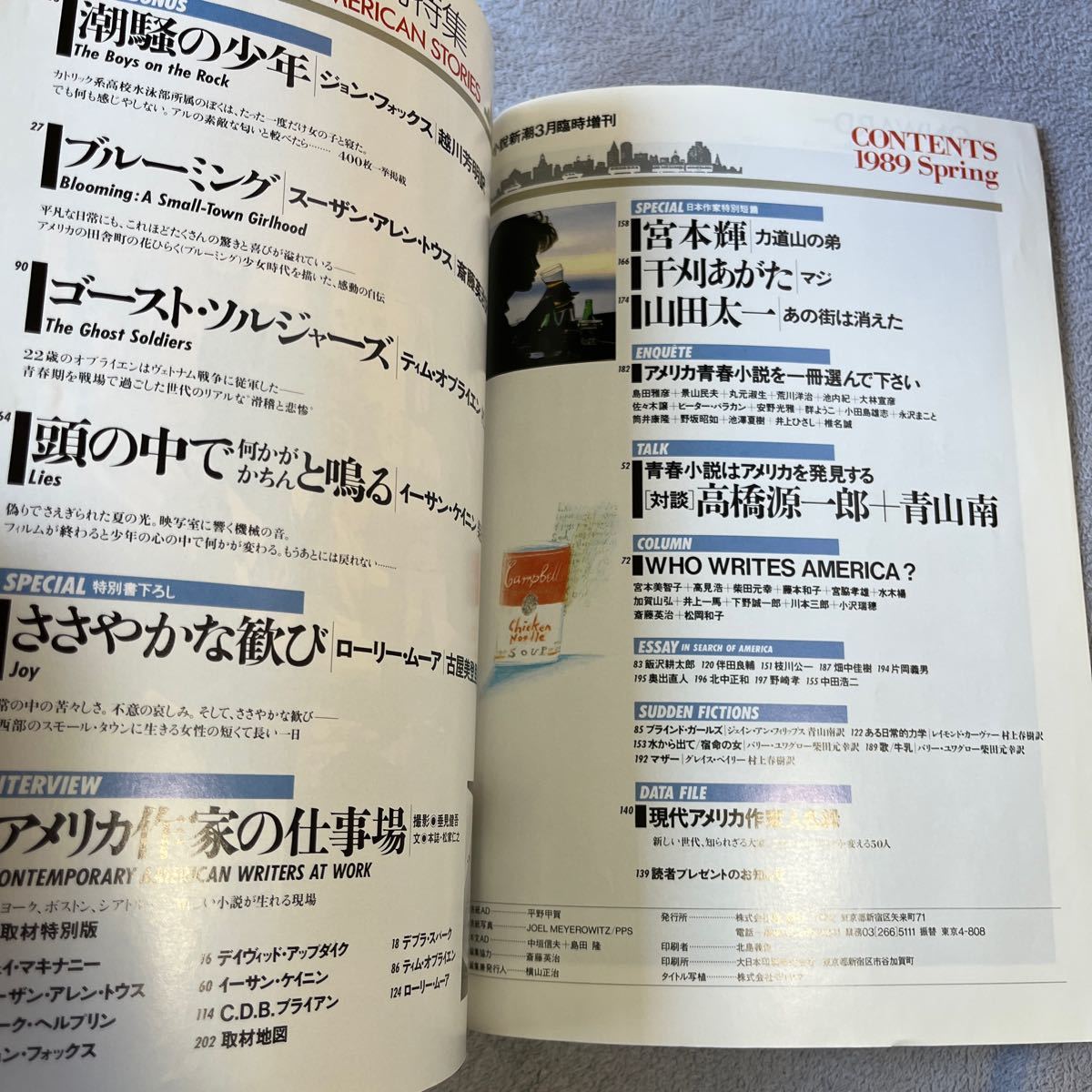 アメリカ青春小説特集 柴田元幸 宮本輝 ジェイ・マキナニー カーヴァー デイヴィッド・アップダイク スーザン・アレン・トウス 1989年_画像2