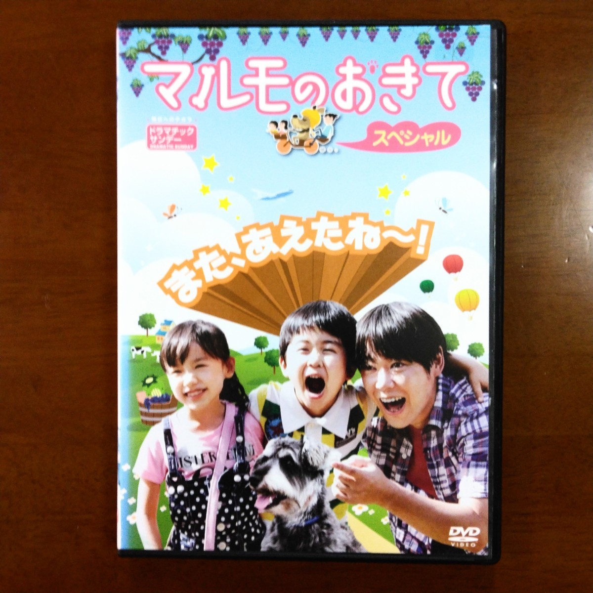 マルモのおきて スペシャル DVD レンタル版 阿部サダヲ 芦田愛菜 鈴木福_画像1