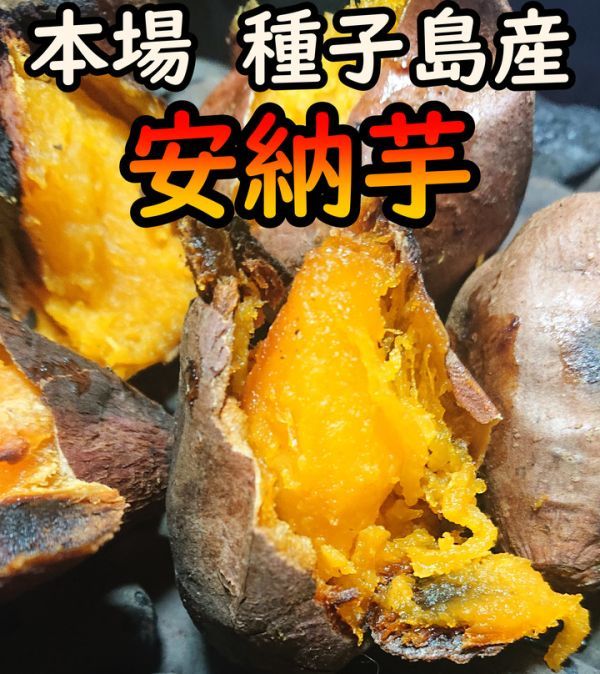 【種子島産】安納芋紅1kg ねっとり！完熟！【お試し用プチサイズ】_画像1