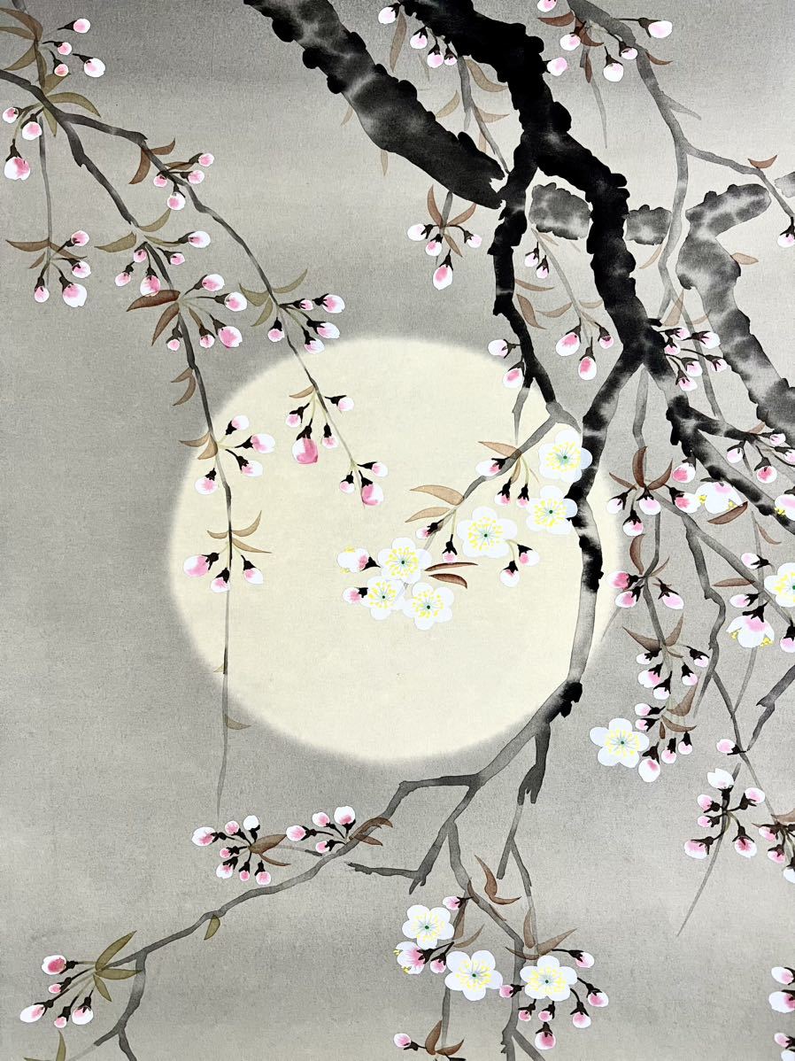 [真作] [絵画] 卓泉「夜桜」絹本 肉筆 共箱 春景 花鳥図 風月 さくら 朧月 日本画 掛軸_画像3