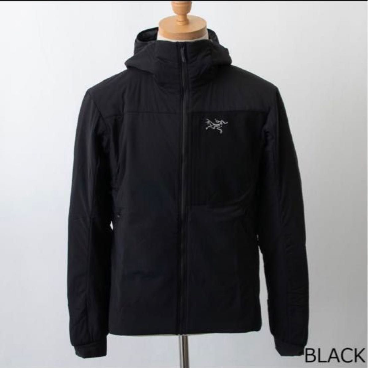 アークテリクス ARC'TERYX  PROTON HOODY(旧LT)