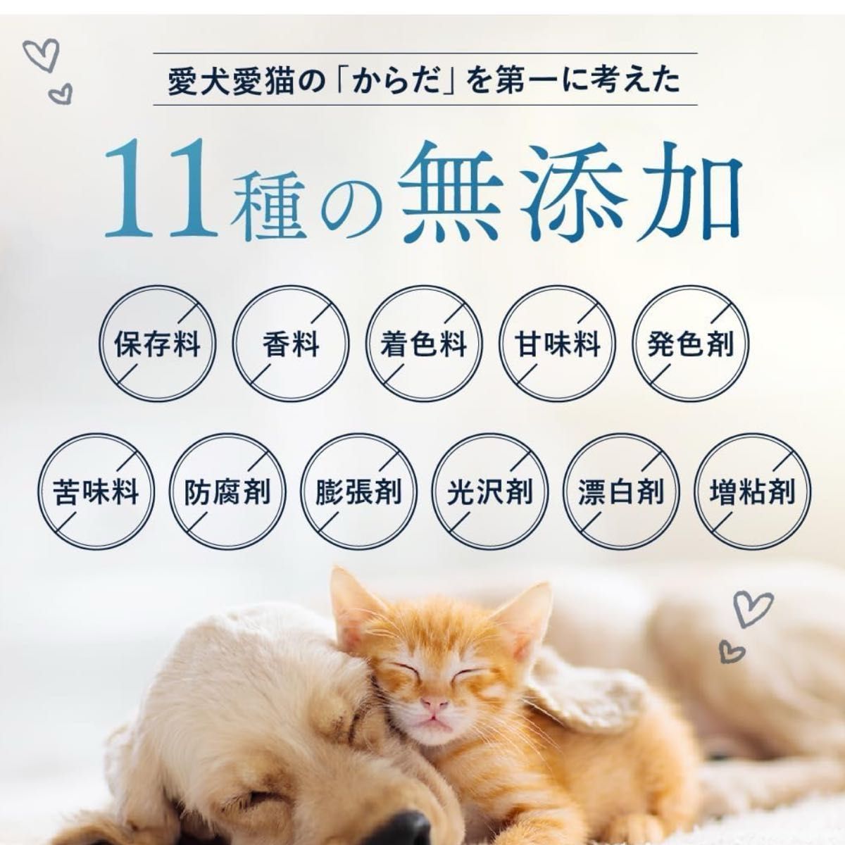 【獣医師監修】 うちのカラダサポート プレミアム サプリメント ペット 犬 猫 無添加 うちのかぞく（15粒/1袋）