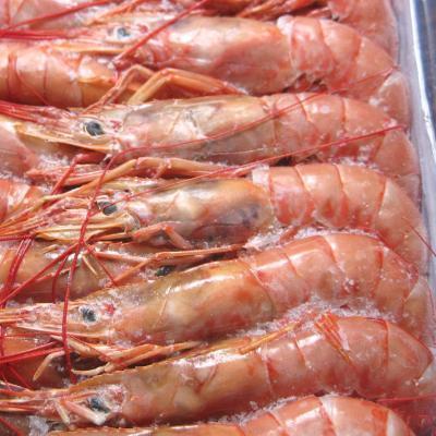  freshness eminent![ freezing red shrimp L3 size ] approximately 2kg(60-80 tail ). taste enough! new thing. red shrimp.!* all commodity including in a package possible!13kg till postage same amount . we deliver!