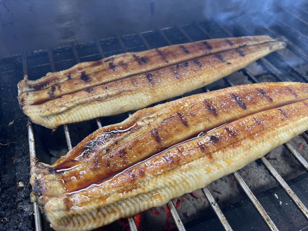  charcoal fire . roasting increase domestic production eel 8 tail Mikawa one color ...