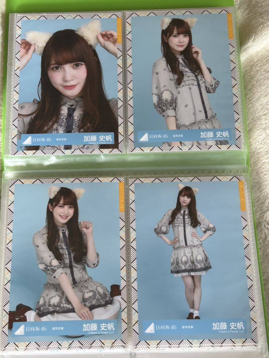 日向坂46生写真加藤史帆猫耳衣装4枚フルコンプセット-寫真–日本 日向坂46生写真加藤史帆猫耳衣装4枚フルコンプセット-寫真–日本