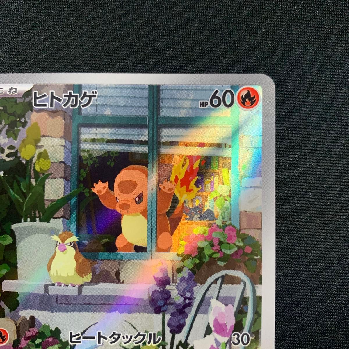 ヒトカゲ AR フルイラスト スペシャルデッキセットex ポケカ ヒトカゲ AR フルイラスト スペシャルデッキセットex ポケカ