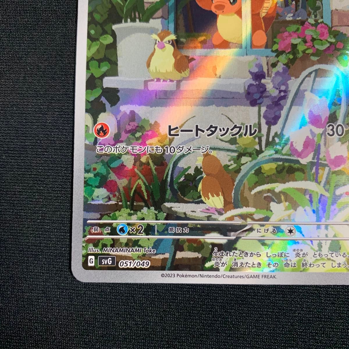 ヒトカゲ AR フルイラスト スペシャルデッキセットex ポケカ ヒトカゲ AR フルイラスト スペシャルデッキセットex ポケカ