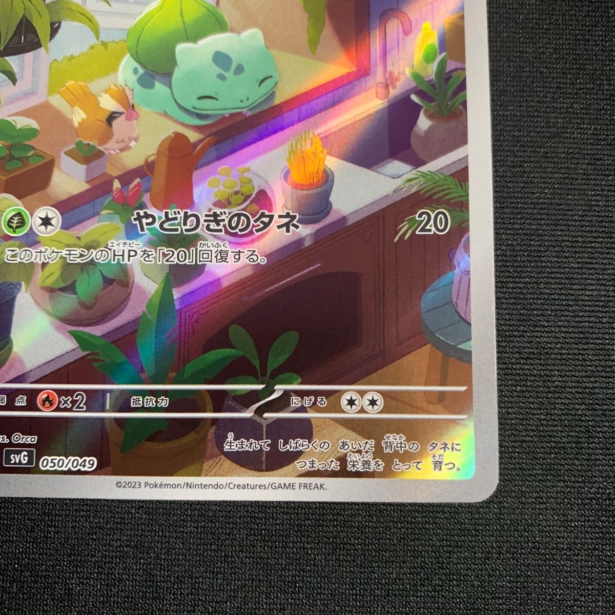 フシギダネ AR フルイラスト スペシャルデッキセットex ポケカ フシギダネ AR フルイラスト スペシャルデッキセットex ポケカ