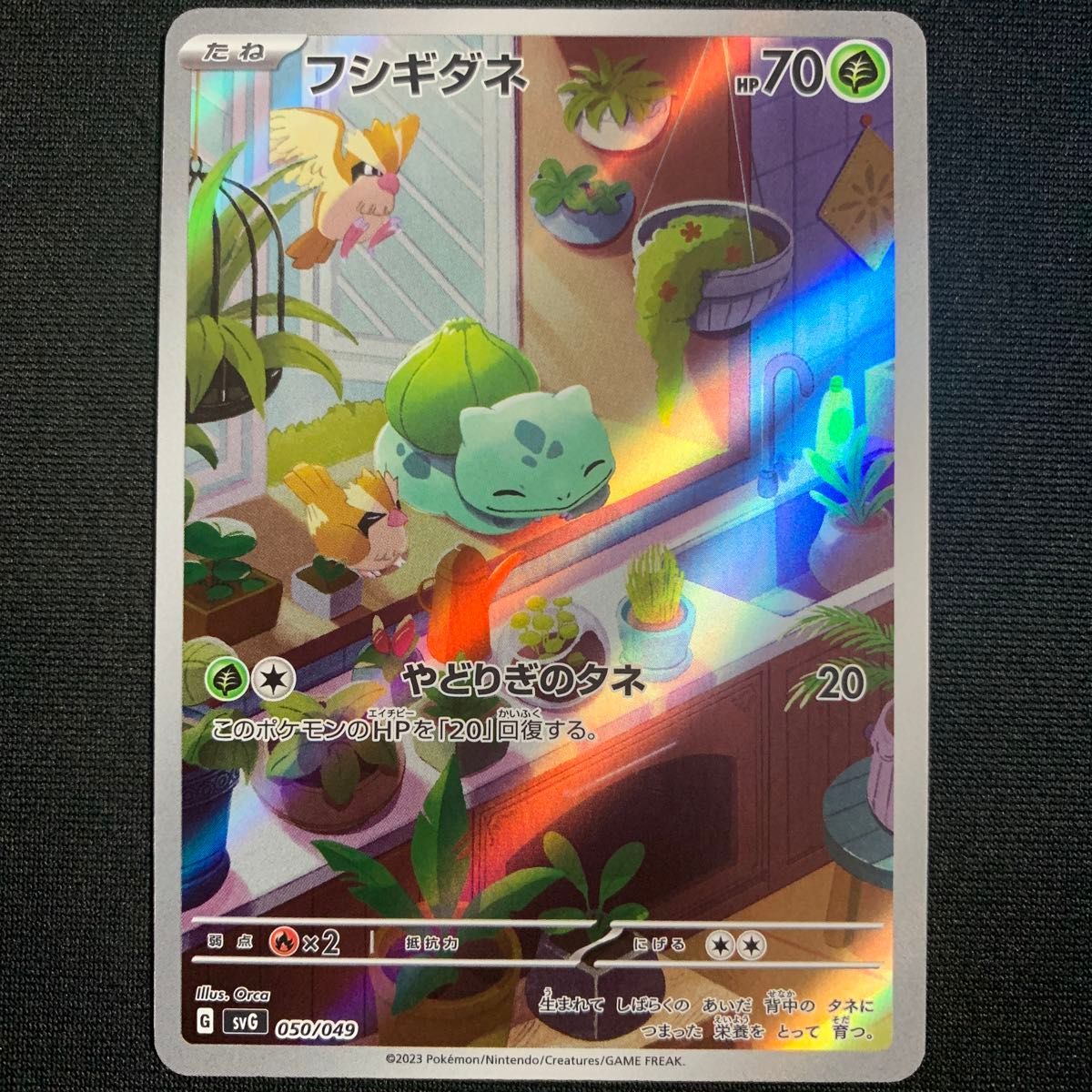 フシギダネ AR フルイラスト スペシャルデッキセットex ポケカ フシギダネ AR フルイラスト スペシャルデッキセットex ポケカ
